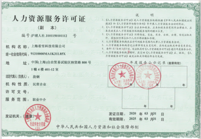 探索上海看雪科技的人力資源服務優勢與創新實踐
